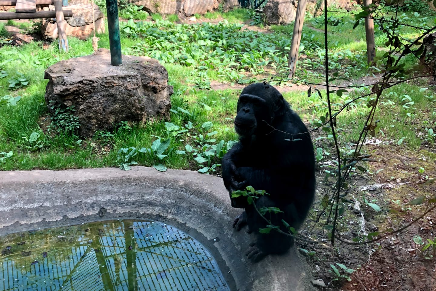 CityXctras - Bioparco 3 CityXctras - Bioparco 3