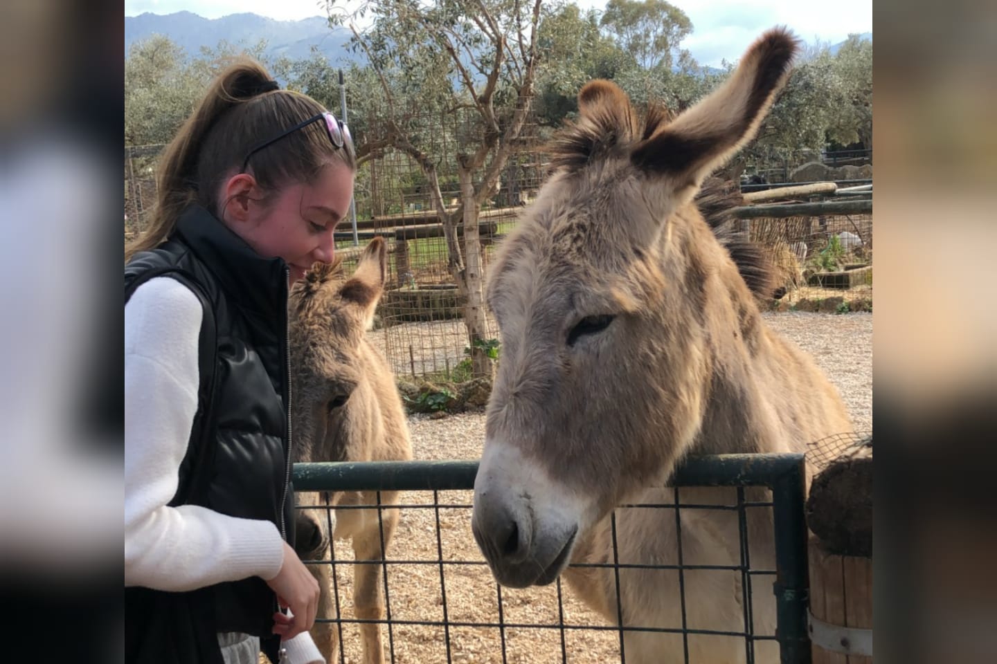 CityXctras - Bioparco 4 CityXctras - Bioparco 4